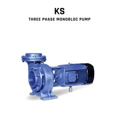 Three phase monoblock pump